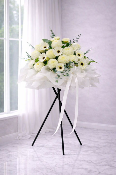 Gentle Tribute