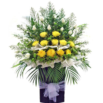 Sympathy & Condolences